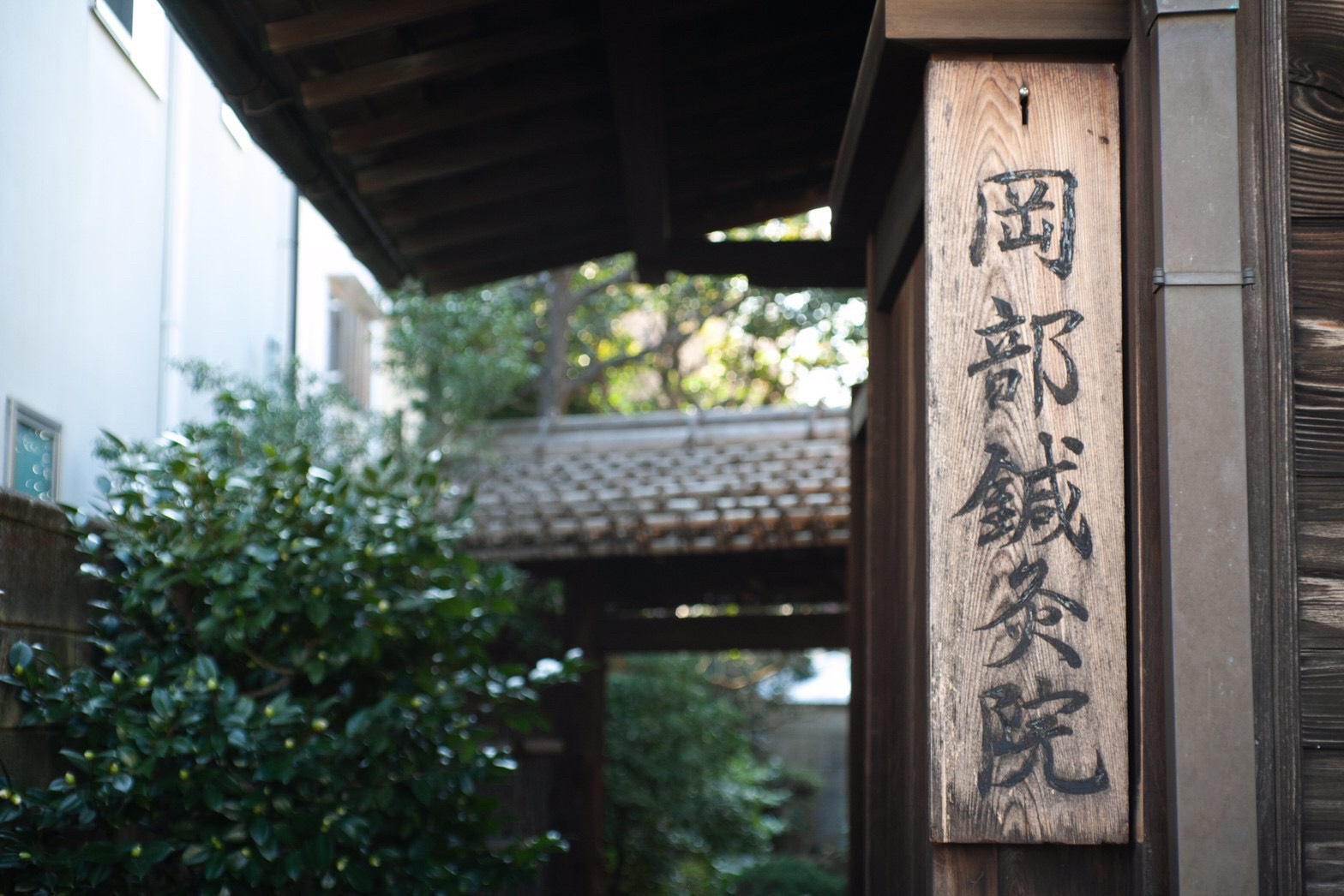鍼灸治療の真髄 経絡治療五十年  オンデマンド版/績文堂出版/岡部素道（単行本） 鍼灸治療の真髄: 経絡治療五十年 |本 | 通販 | Amazon